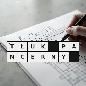 Hasło krzyżówkowe o startym zniszczonym ale prawie niezniszczalnym przedmiocie - tłuk pancerny – rozwiązanie, synonimy, podpowiedzi i definicje krzyżówkowe